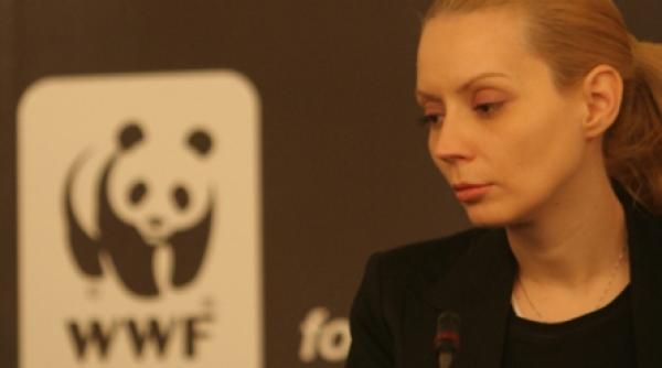 tu ce faci de ora pamantului