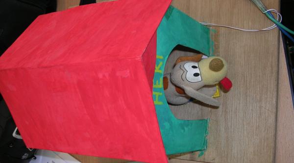 micii inventatori premiati european