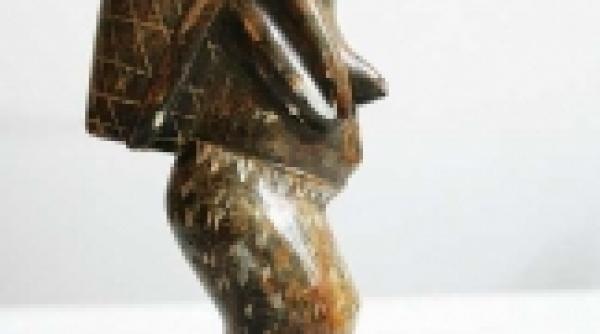 sculptura magica din brazilia