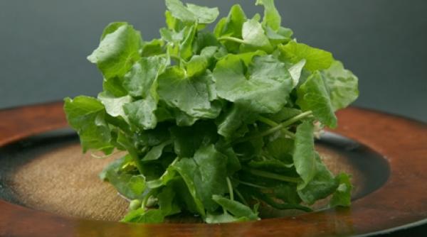 reclama e mama comertului