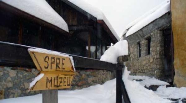 istorie tavalita cu buldozerul