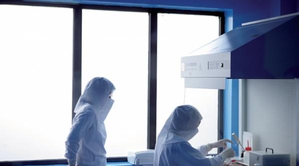 banca de celule stem in bucuresti