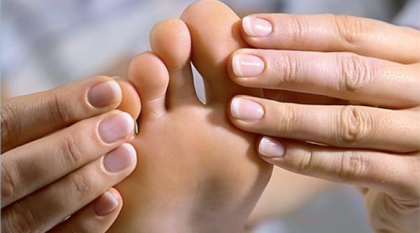 de ce apar monturile