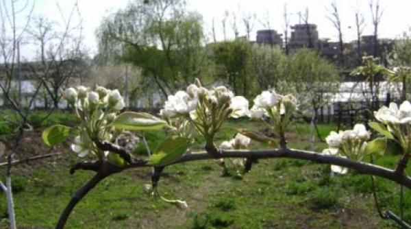 prognoza meteo pe trei luni