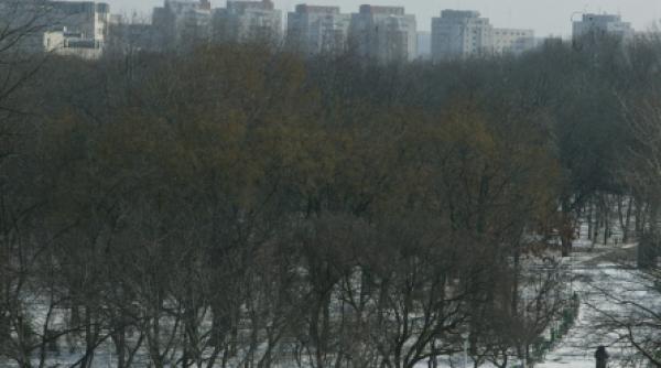 vile de fite cu gazon in parcul tineretului