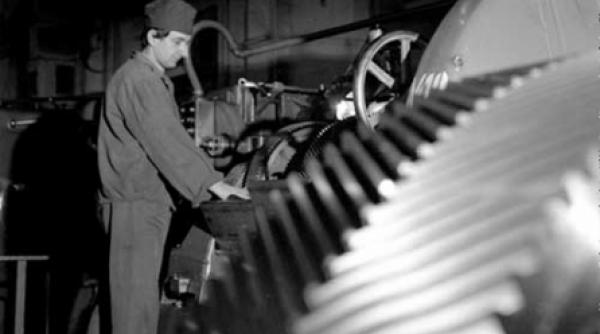 marirea si decaderea omagiilor catre partid