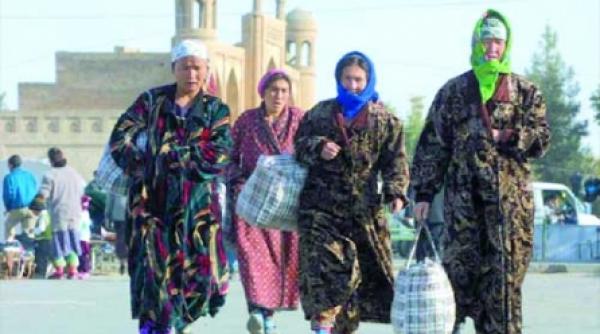 urss regionalizarea un panaceu pentru problema nationalitatilor