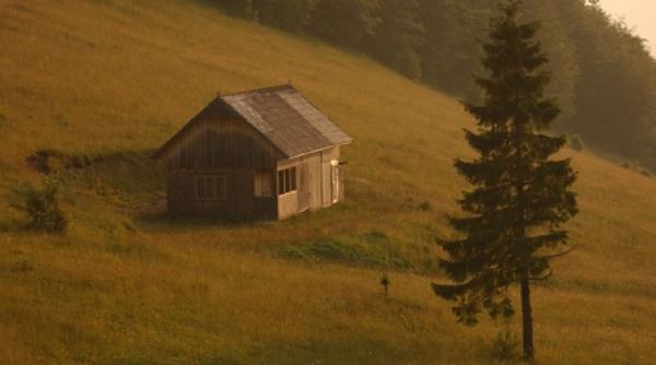 cand pamantul nu se magnetizase bine