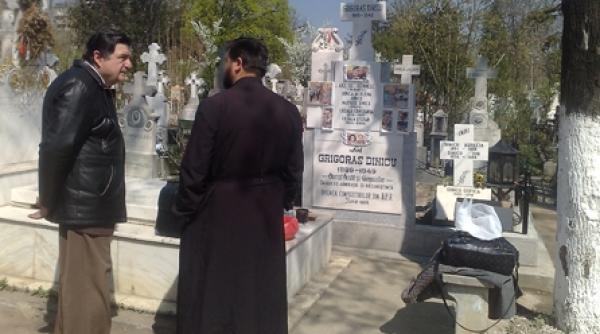 simfonia viorilor de altadata