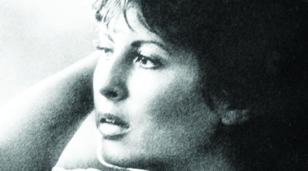 o artista impecabila