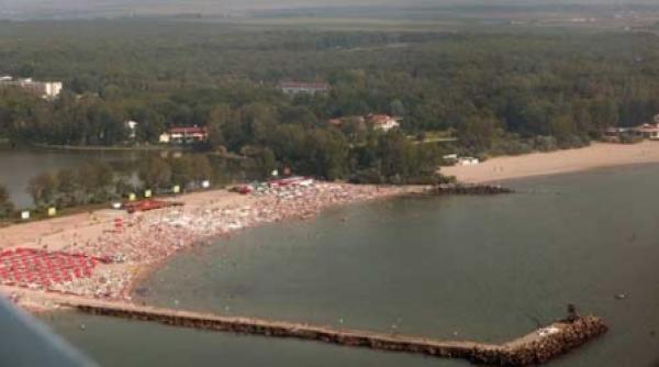 padure unicat distrusa de programe informatice