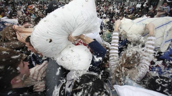 razboi cu puf si pene in cele mai mari orase ale lumii