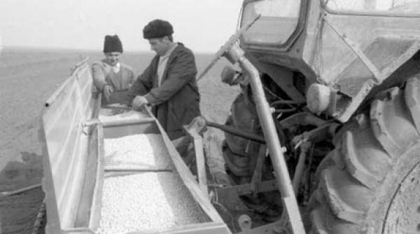 ceausescu a decis pregatirea congresului al xiv lea si a iertat datorii facute de cap uri