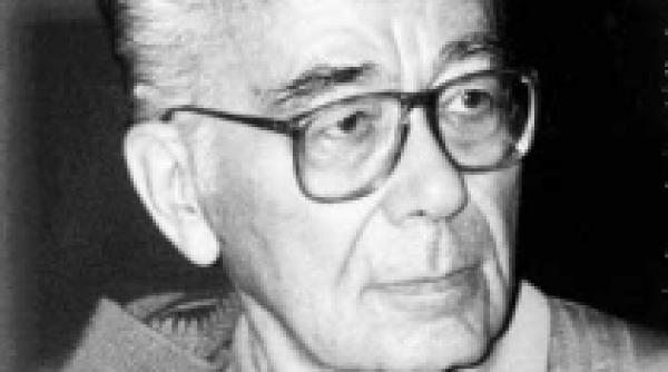 amintirile lui mihai sora