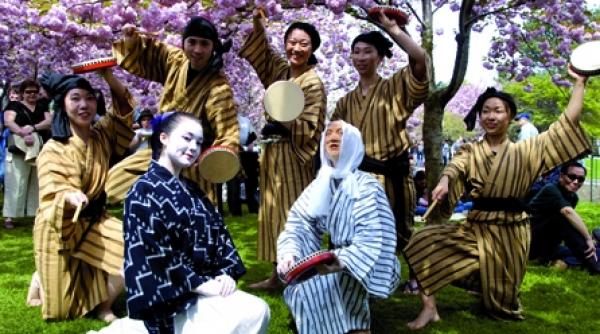 mai aproape de primavara cu flori de cires si nu numai