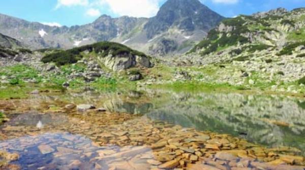 retezatul in cursa pentru minunile naturale ale lumii