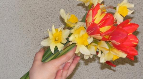 spune mi ce fel de floare esti