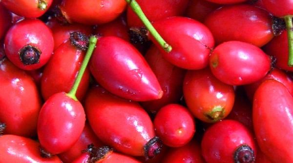 anemia tratata pe cale naturala