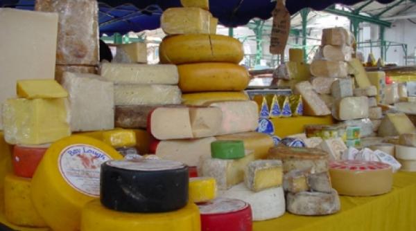 branzeturile chintesenta tehnologiilor