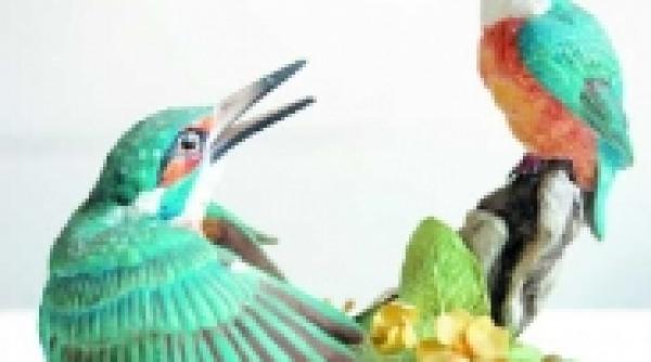 daruri colorate din marea britanie