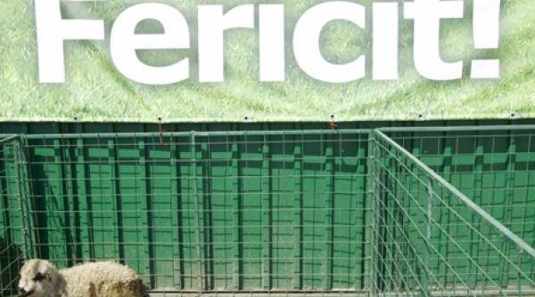 pastele nu a fost lovit de criza