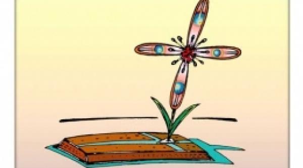 florile au murit in florarie