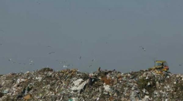 romania da extemporal la infringement