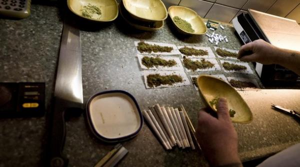 iarba la discretie la un pas de scoala