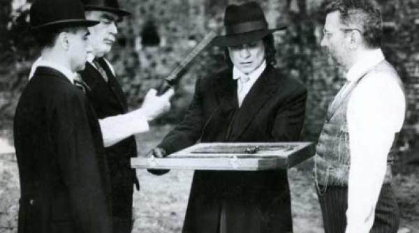 craii sub reflectoare