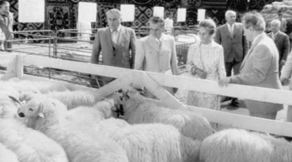 saptamana patimilor aprovizonarii