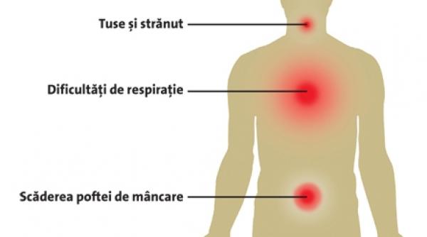 virusul gripei porcine simptome recomandari medicatie