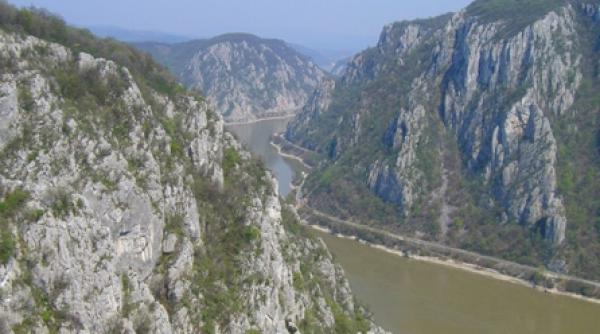 laleaua galbena de cazane