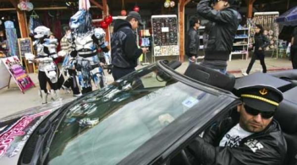 costinesti stabilopozi instantanee roz