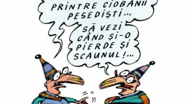 fan club maria basescu