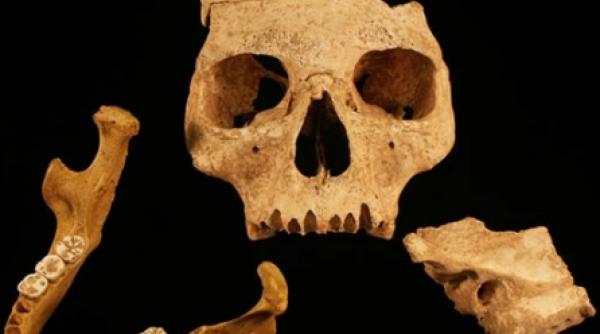 un chip pentru primul european