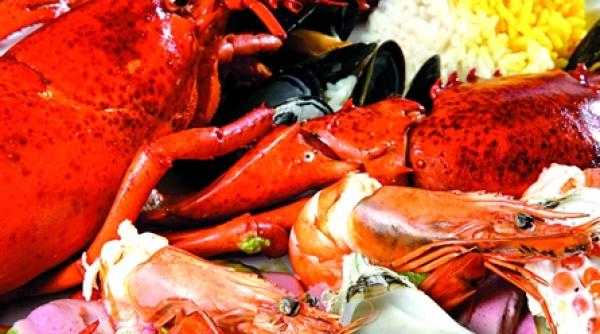 evenimente slow fish