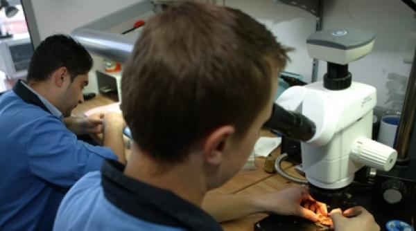 minicomputere contra surditatii