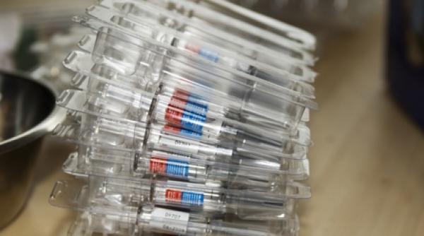 a h1n1 vedeta internationala