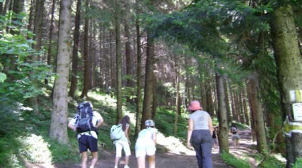 motive sa l trimiti pe copil la munte