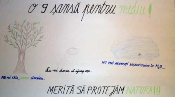 o 9 sansa pentru mediu
