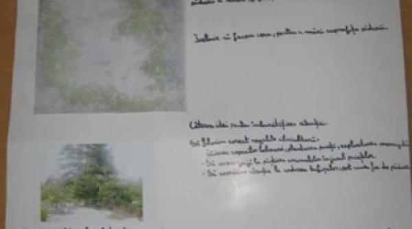 sa ocrotim padurile ca sa ne protejeze impotriva schimbarilor climatice