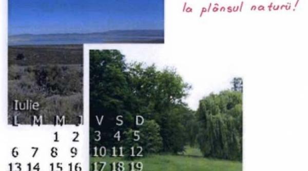 schimbarile climatice