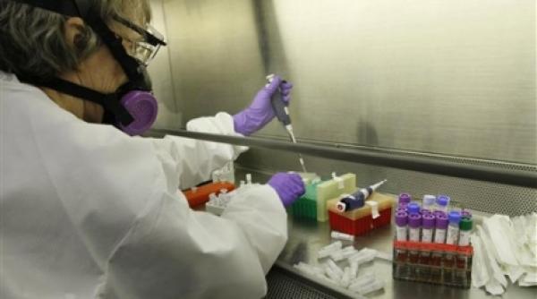 sua peste 600 de cazuri de imbolnavire de gripa porcina in ultimile 48 de ore