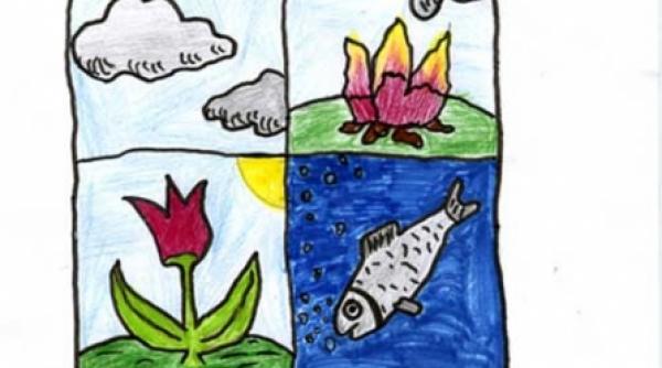 tinerii ambasadori impotriva schimbarilor climatice