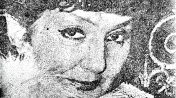 interpretare fara microfon