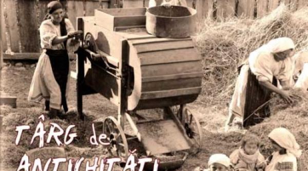 targ de antichitati taranesti