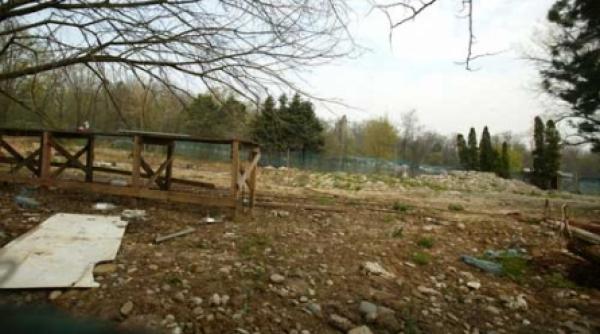 visul lui fernando hotel si piscina in herastrau