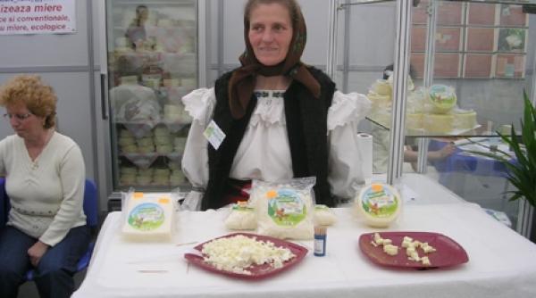 eco de criza fara bani de la stat