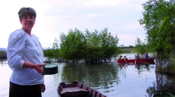 secrete culinare din micro delta