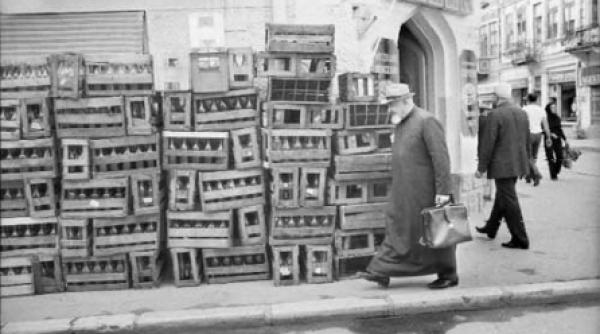 la cules de sticle borcane castane